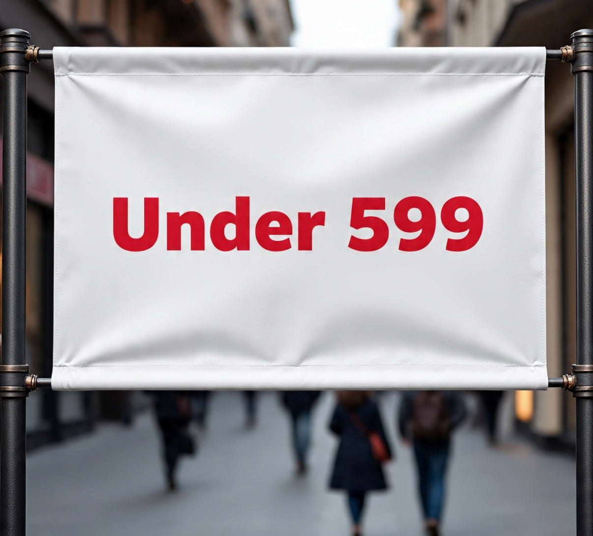 💸 Under ₹599